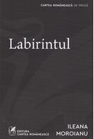 Imagine produs Labirintul