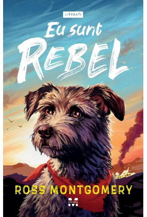 Copertă produs Eu sunt Rebel