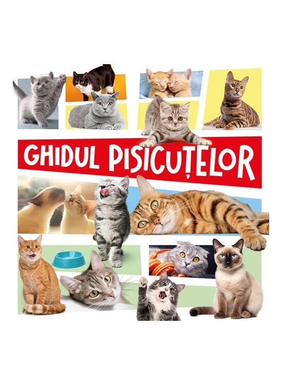 Copertă produs Ghidul pisicuțelor - gallery big 1