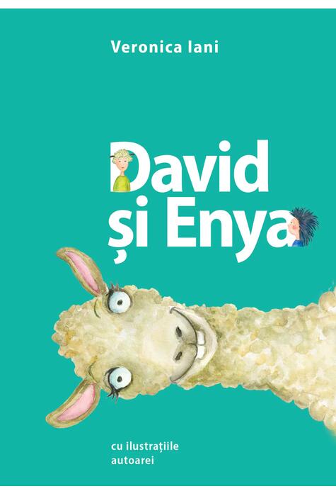 Copertă produs David și Enya
