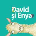 Copertă produs David și Enya - gallery small 