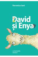 Imagine produs David și Enya
