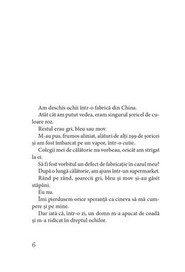 Copertă produs Al 13-lea ren