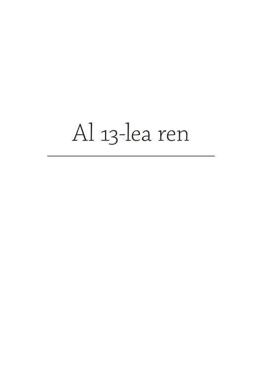 Copertă produs Al 13-lea ren - gallery big 5