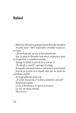 Copertă produs Al 13-lea ren