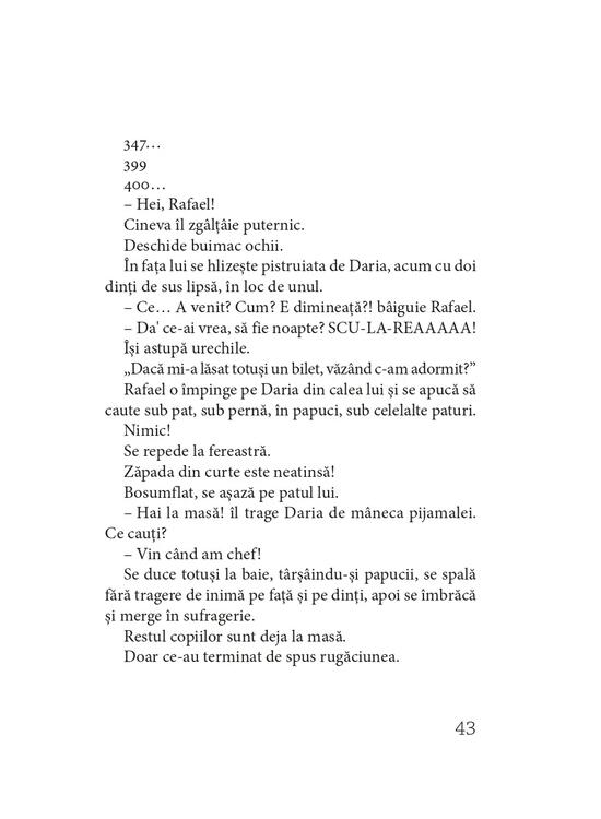 Copertă produs Al 13-lea ren - gallery big 10
