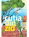 Copertă produs Cutia din zid - thumb 1