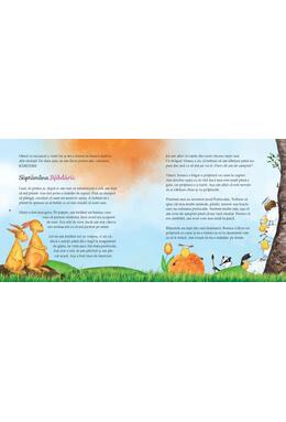 Copertă produs Aventurile oiței roz (format mare)