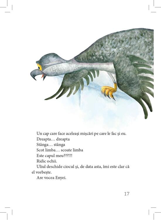 Copertă produs David și Enya - gallery big 5