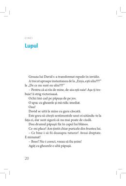 Copertă produs David și Enya