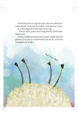 Copertă produs David și Enya