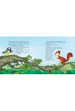 Copertă produs Pițigoiul