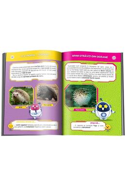 Copertă produs Cum se apără animalele