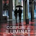 Copertă produs Corpuri de iluminat - gallery small 
