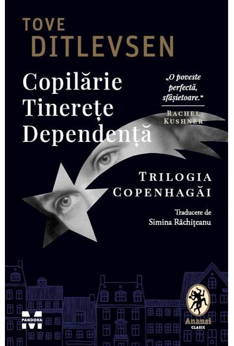 Copertă produs Copilărie. Tinerețe. Dependență