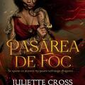 Copertă produs Pasărea de foc (Vol. 1) - gallery small 