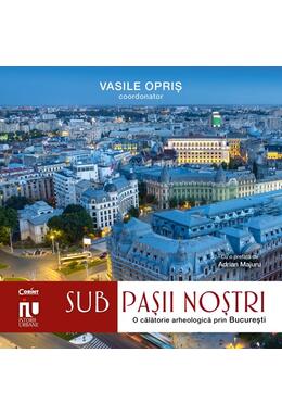 Copertă produs Sub pașii noștri