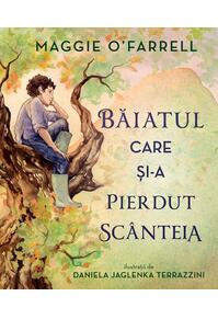 Copertă produs Băiatul care și-a pierdut sc&acirc;nteia