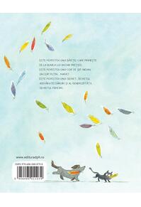 Copertă produs Secretul lui Inimă Mare