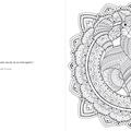Copertă produs Mandalele mele - Pisici - gallery small 