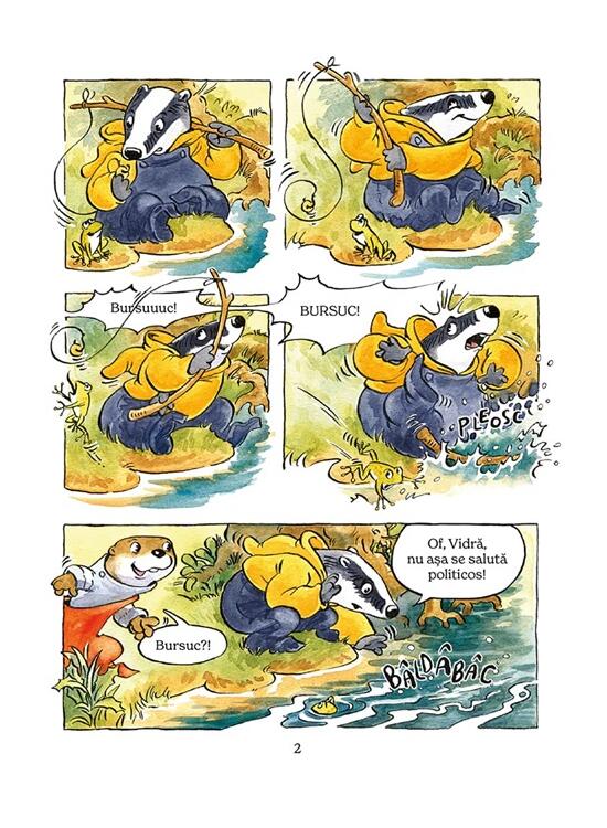 Copertă produs Dovleceală cu morcovi - gallery big 2