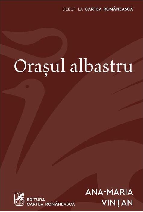 Copertă produs Orașul albastru