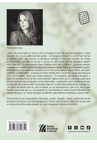 Copertă produs Cerul din burtă