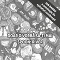 Copertă produs Doar o vorbă să-ți mai spoon: River - gallery small 