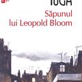Copertă produs Săpunul lui Leopold Bloom - gallery small 