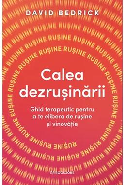 Copertă produs Calea dezrușinării