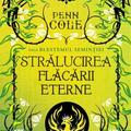 Copertă produs Strălucirea Flăcării Eterne - gallery small 