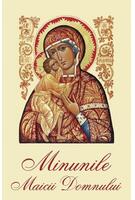 Minunile Maicii Domnului