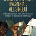 Copertă produs Vindecarea părților fragmentate ale Sinelui - gallery small 