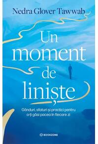 Copertă produs Un moment de liniște