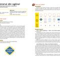 Copertă produs Jocuri și activități pentru matematică - gallery small 