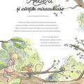 Copertă produs Albert și cărțile miraculoase - gallery small 