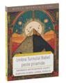 Copertă produs Umbra Turnului Babel peste Piramide - thumb 1