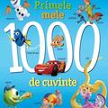 Copertă produs Disney Educațional. Primele mele 1000 de cuvinte - gallery small 