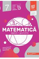 Matematică Standard. Algebră, geometrie. Clasa a VII-a (2025-2026)