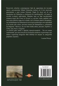 Copertă produs Accidentul