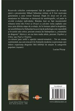 Copertă produs Accidentul