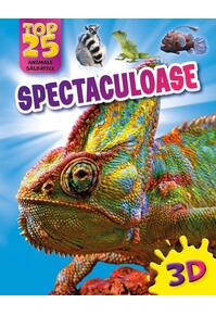 Copertă produs Top 25 animale sălbatice -  Spectaculoase 3D