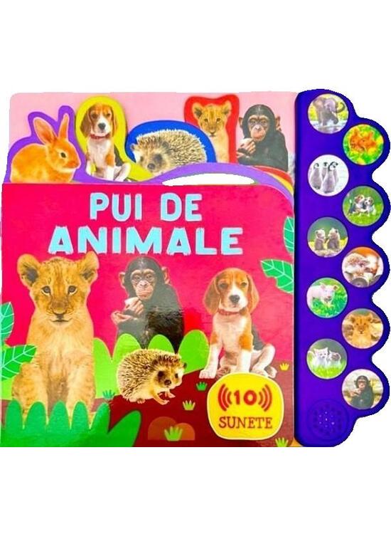 Copertă produs 10 sunete - Pui de animale - gallery big 1