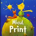 Copertă produs Micul prinț - gallery small 