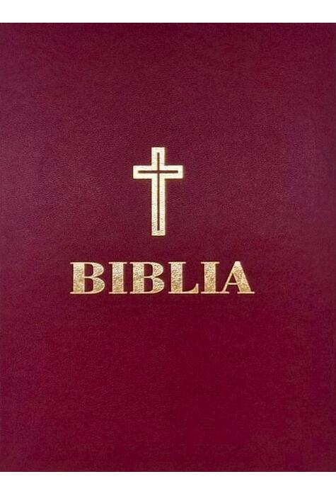 Copertă produs Biblia sau Sf&acirc;nta Scriptură