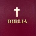 Copertă produs Biblia sau Sf&acirc;nta Scriptură - gallery small 