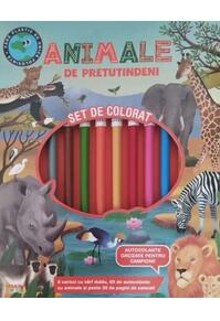 Copertă produs Animale de pretutindeni. Set de colorat