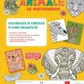 Copertă produs Animale de pretutindeni. Set de colorat - gallery small 