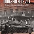 Copertă produs Douăsprezece zile - gallery small 