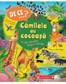Copertă produs De ce&hellip;? Cămilele au cocoaşă şi alte &icirc;ntrebări despre animale - thumb 1